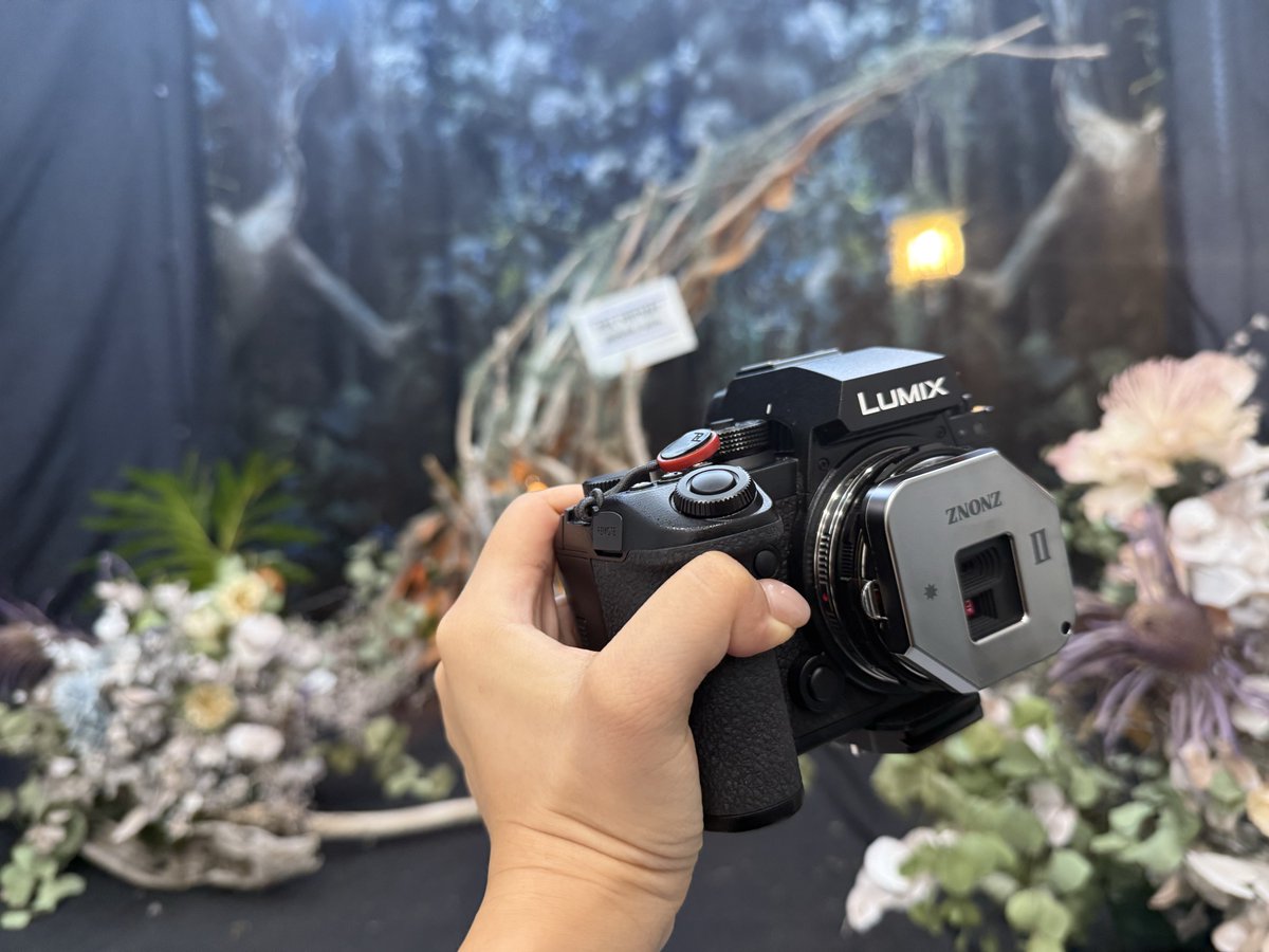 Rinaty🐔セルフポートレート写真家 tweet media