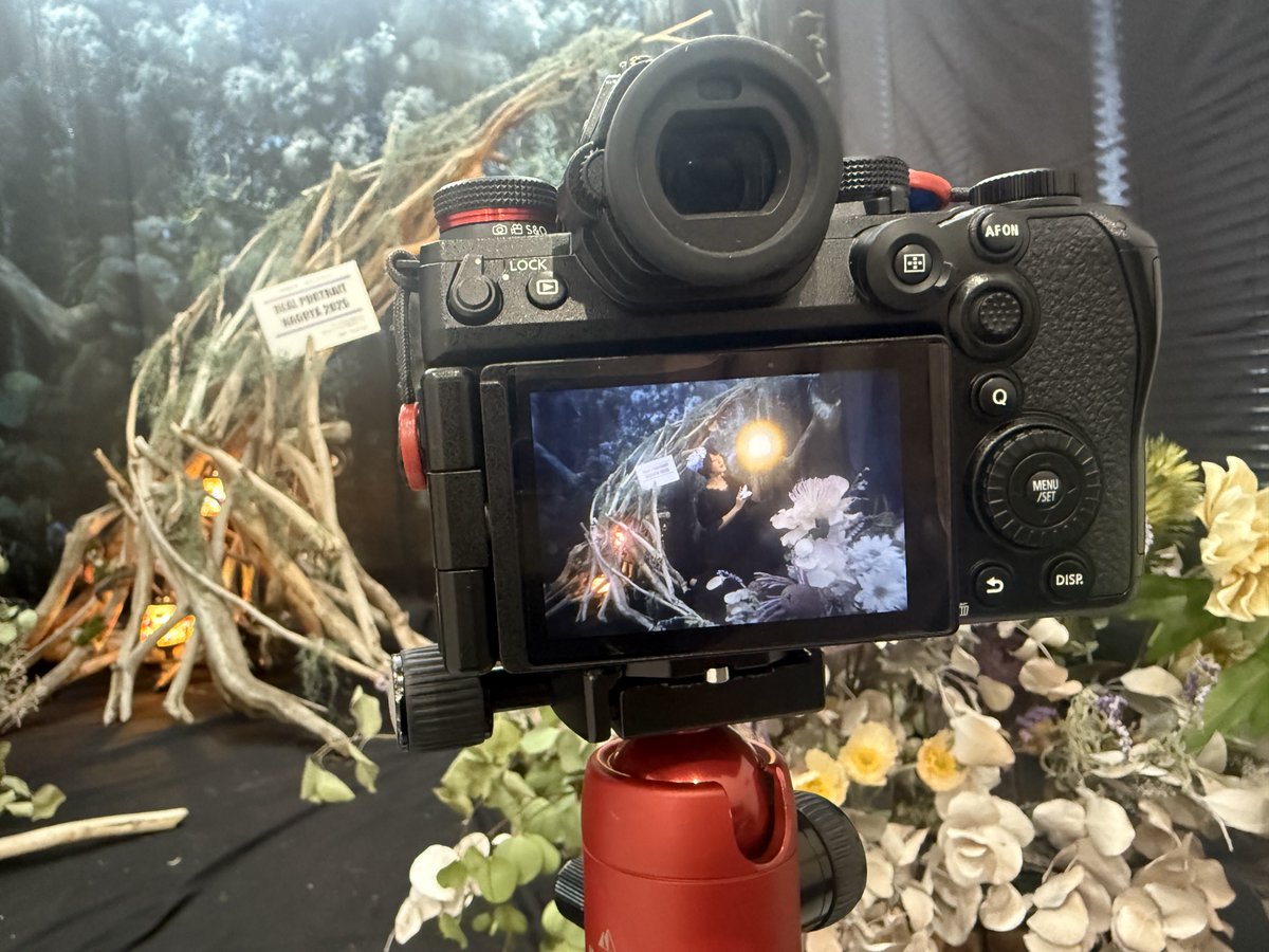 Rinaty🐔セルフポートレート写真家 tweet media