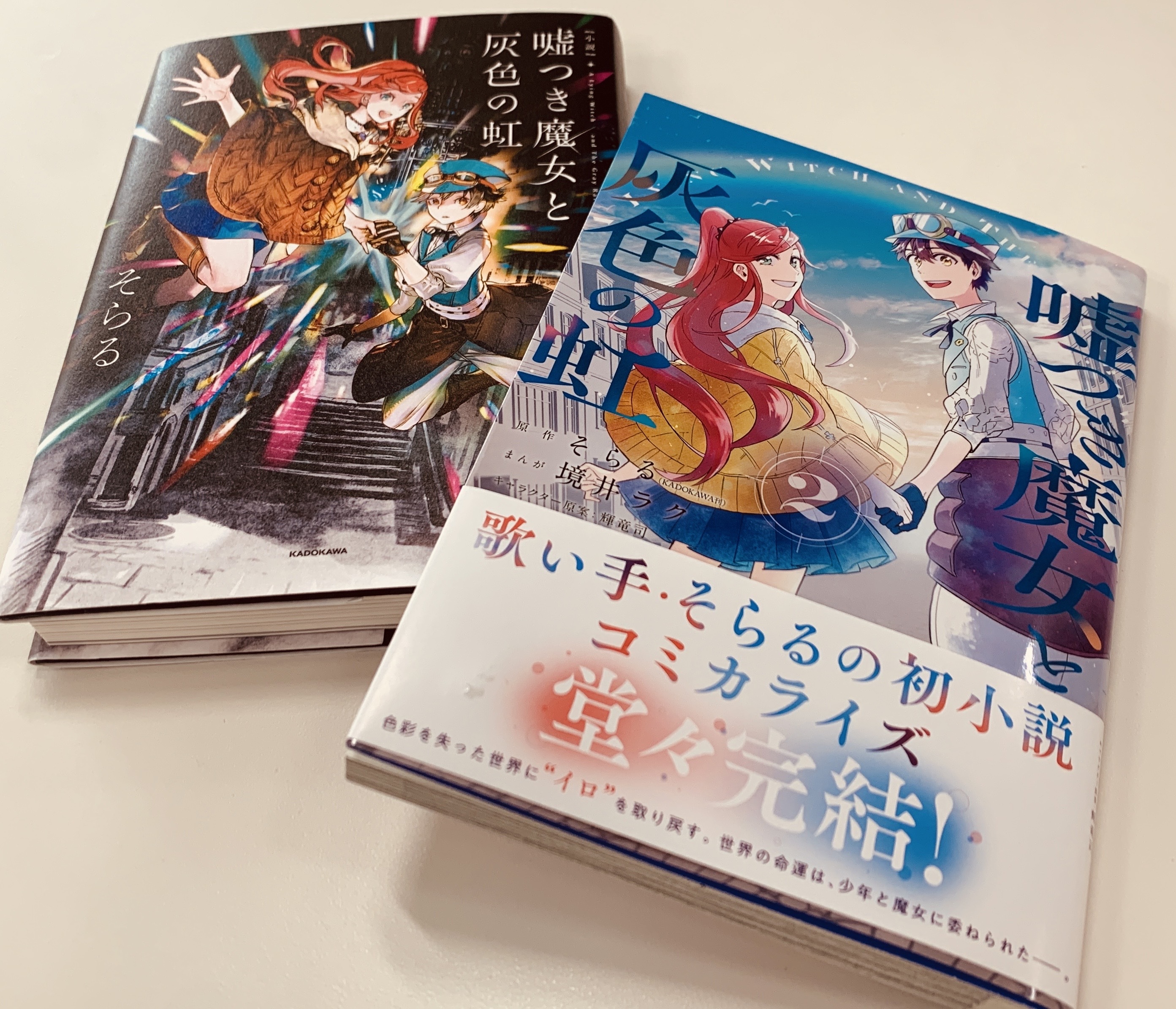 小説 「嘘つき魔女と灰色の虹」そらるサイン本 Amazon.co.jp: 嘘つき魔女と灰色の虹 1 (花とゆめコミックス