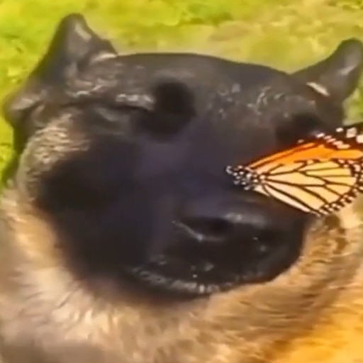 skeppy going active on twt again i think i see a bright future of his twitch channel being active next