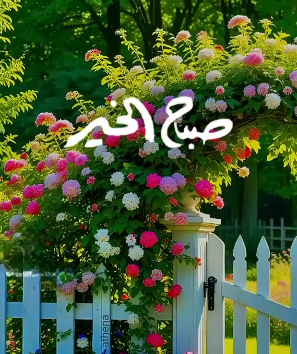 الجوهره tweet media