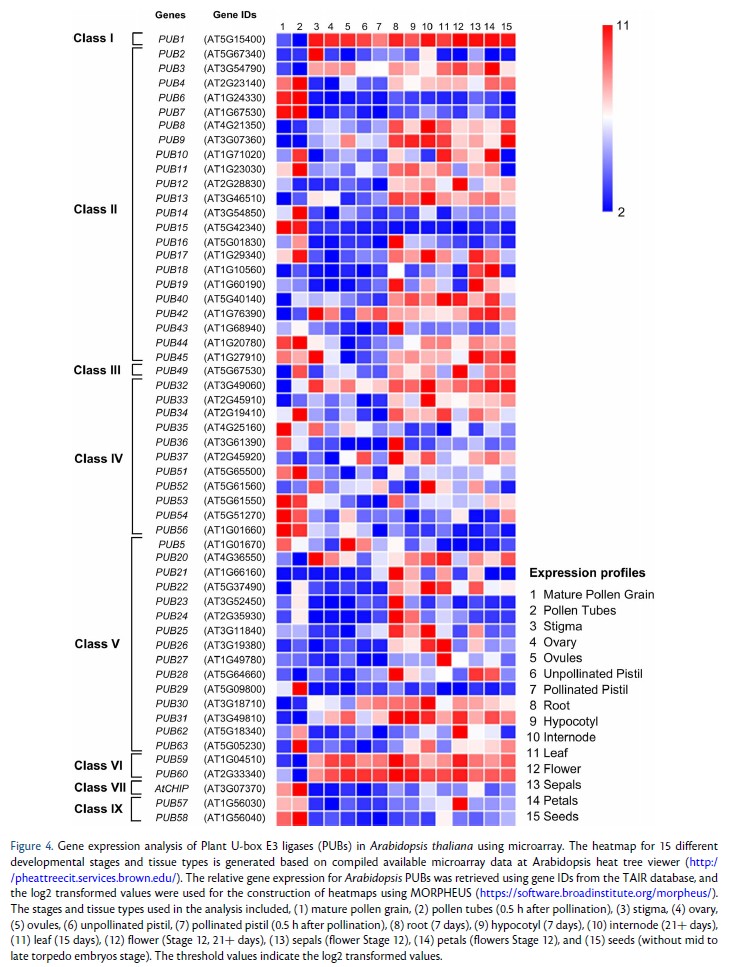 📙From PCP latest issue (66-8): Review💐
'Multifaceted roles of U-box E3 ligases in #PlantDevelopment'
H N Karthik et al.

doi.org/10.1093/pcp/pc…
#UbiquitinLigase #E3ligase #Ubiquitination #Plantsci