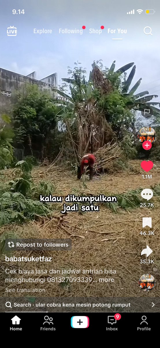 keren bangettt skrg udah di tahap babat suket ikutan bikin konten di TikTok😂
