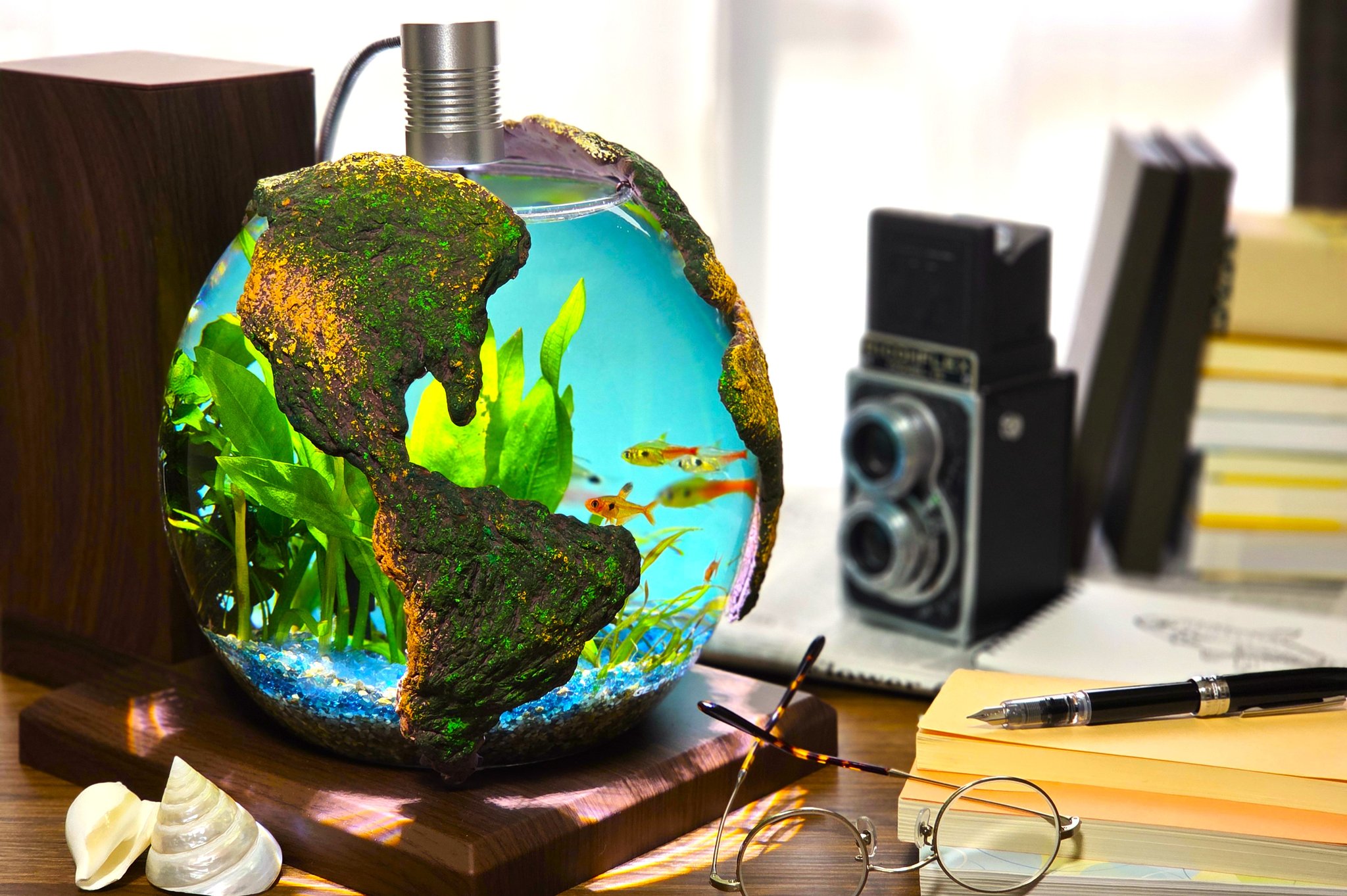 まんどリウム (@seafriend101) / X