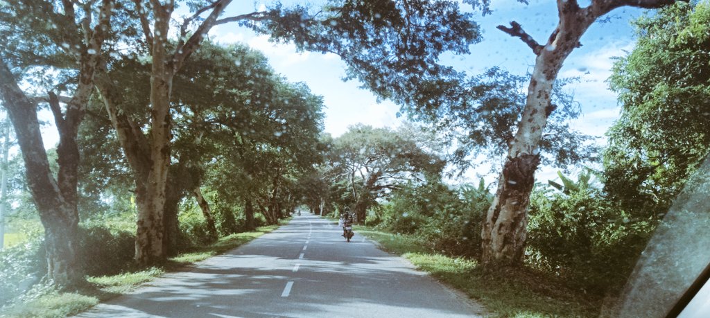 အညာနွေ ပူလွန်းတယ် ...ရင်အေးစေမယ့် မန်းကမမလေးတို့ကူညီကြပါဦး....
ကျူမိးငွှား .....
... 
🤪🤪😜😋
