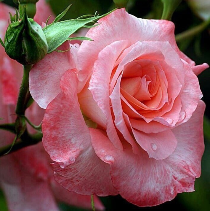 Follow where logic leads. 
— Albert Camus