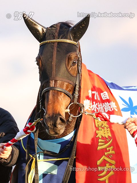 競馬ブックネットSHOP on X