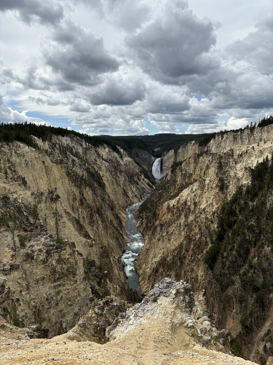 violetemitchell's tweet photo. Tetons and Yellowstone within 5 hrs #bozemanbct https://t.co/FdyK57HNoa