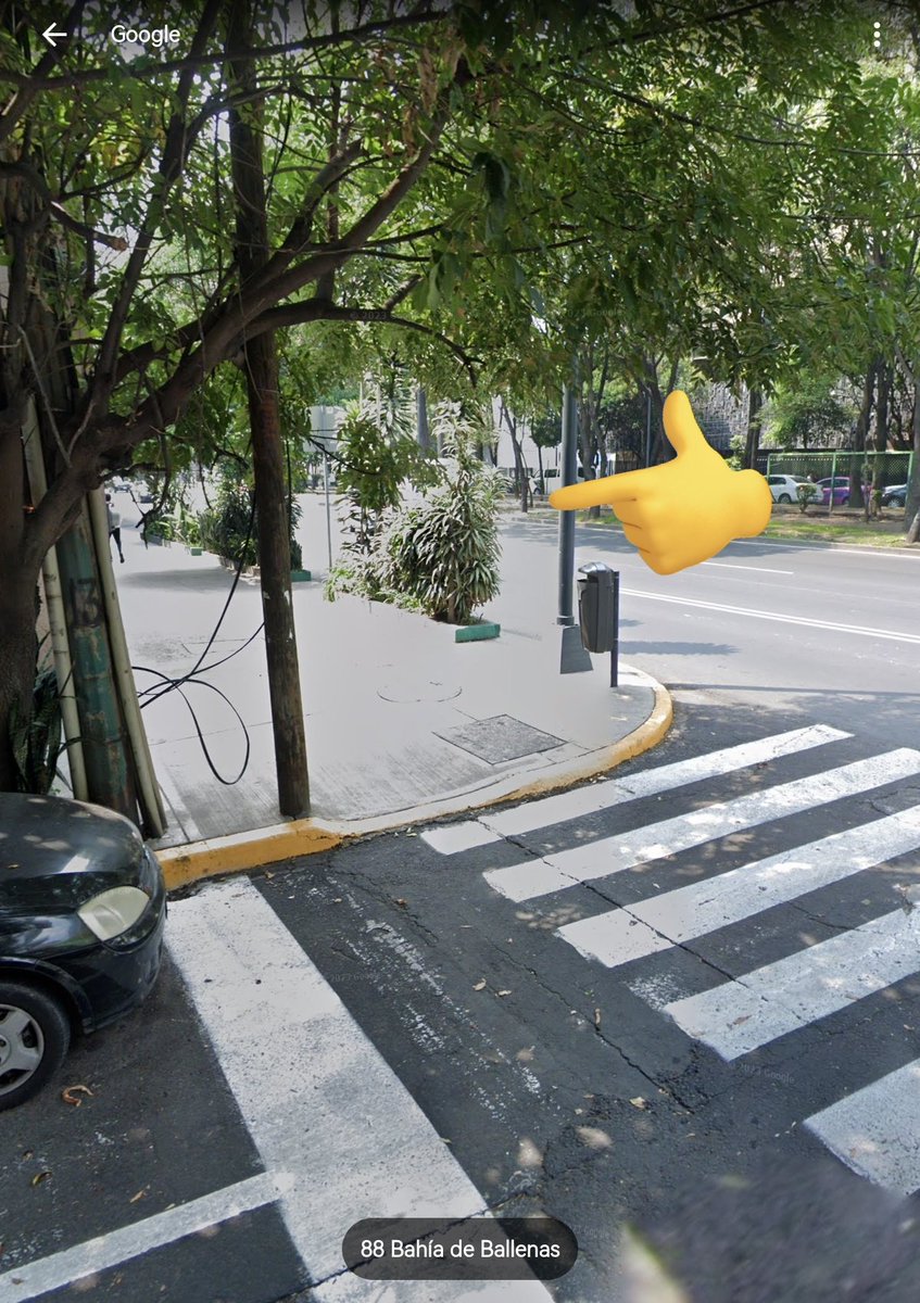 _lu_kas's tweet photo. En la esquina de Ejército Nacional y Bahía de Ballenas en la col. Verónica Anzures hay una planta qué impide la visibilidad para incorporarse correctamente a la avenida, siendo esto un riesgo para automovilistas. @locatel_mx @AlcaldiaMHmx @SOBSECDMX @MHcesac https://t.co/FxLJlx9JGt