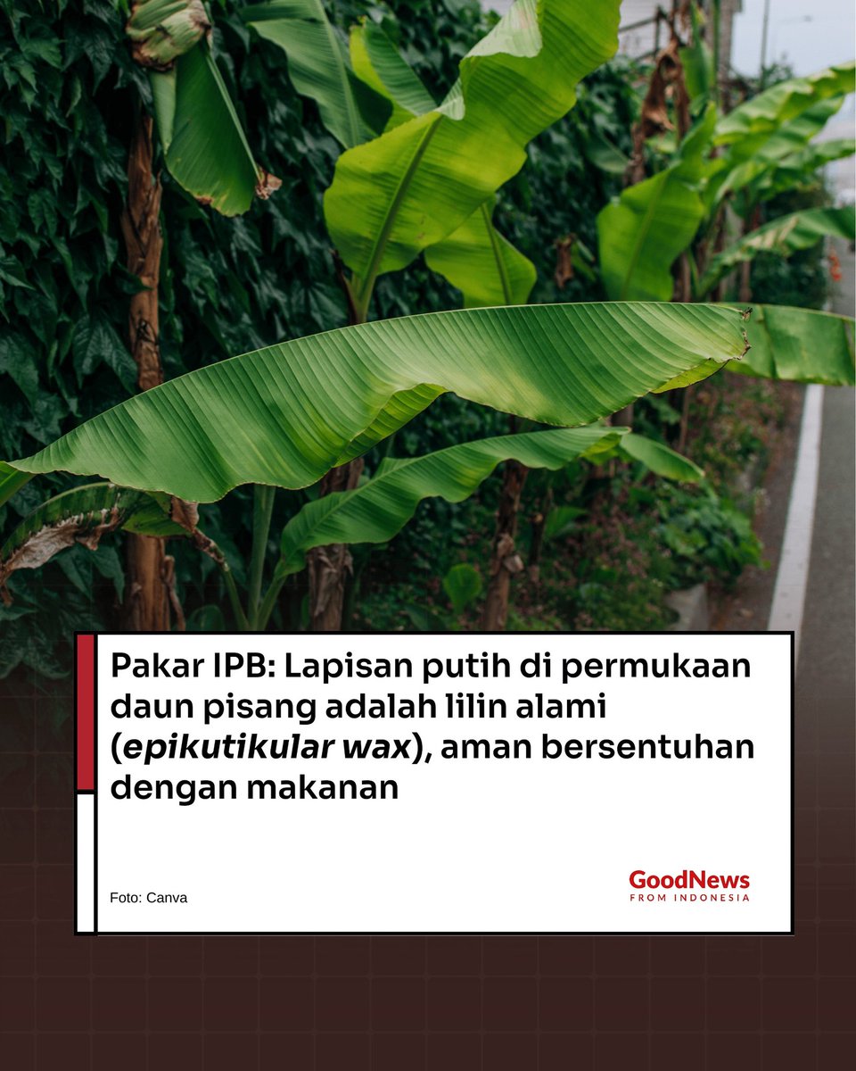 GNFI's tweet photo. https://t.co/PWpNlm299I