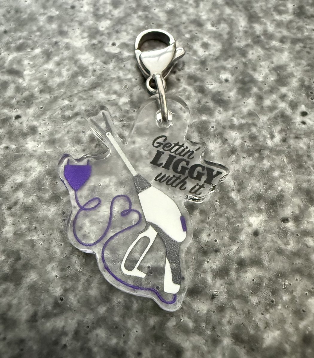 New charms! The last set of badge reel charms were so popular that I decided to keep going (thank you everyone for your endless support of my crazy side hobby).

They’re up in Etsy and you can follow me on IG to see new designs/things at @theGynecologicWolf

#MedTwitter