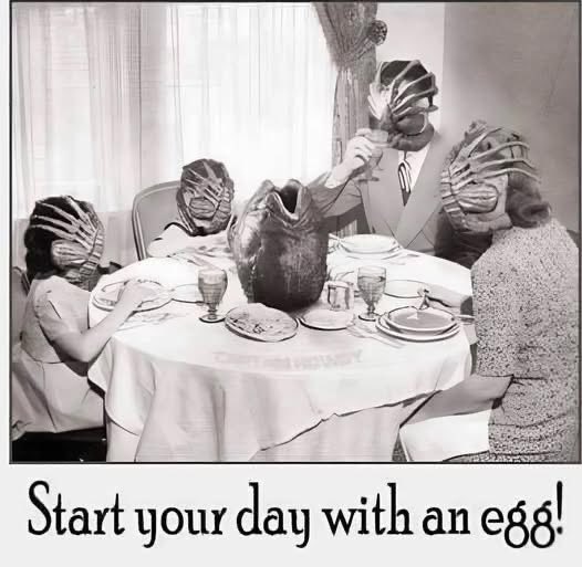 Beautiful good morning 🔆🫶