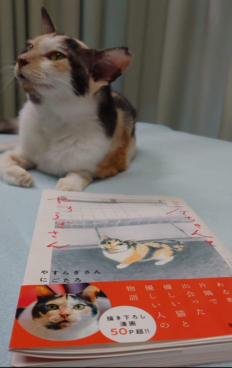 ミケ猫ฅ^•ω•^ฅ★ f89b1ac7351dc10ec779ce5379d62f