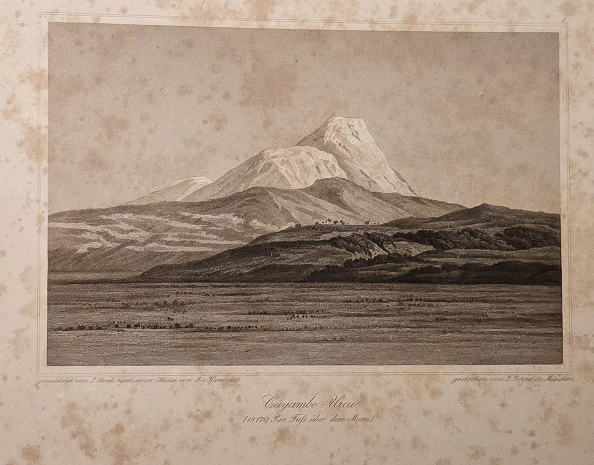 Hoy en <a href="/ColeccionesRSP/">Colecciones de Ricardo Salinas Pliego</a> retomamos el tema de Alexander von Humboldt, el naturalista alemán que más nombres otorgó a los recursos naturales de América Latina.

Humboldt dedicó años a explorar volcanes en América del Norte y del Sur, ¡más que cualquier europeo de su época! Descubrió