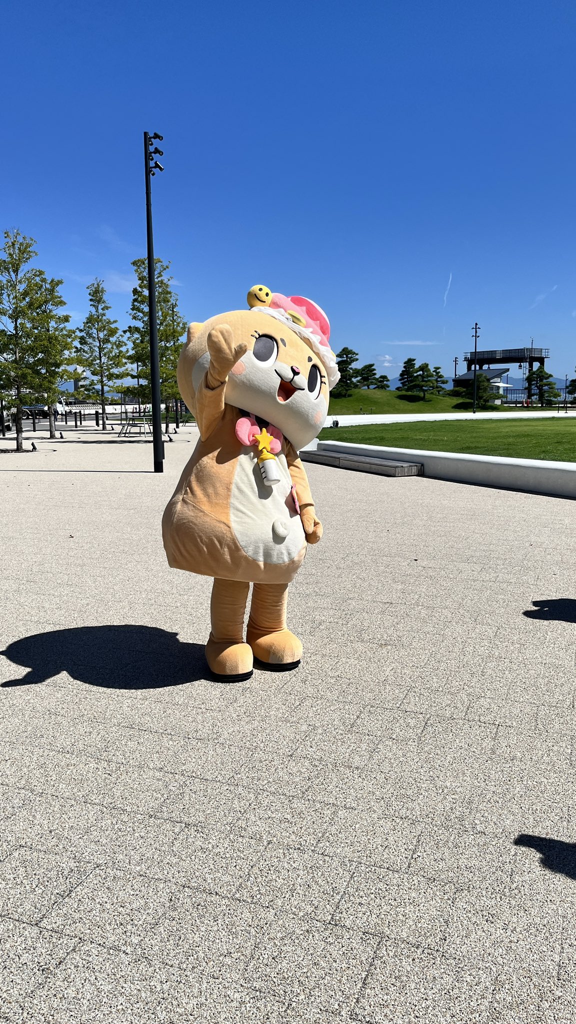 ちぃちゃん B,E びんちゃん on X: 