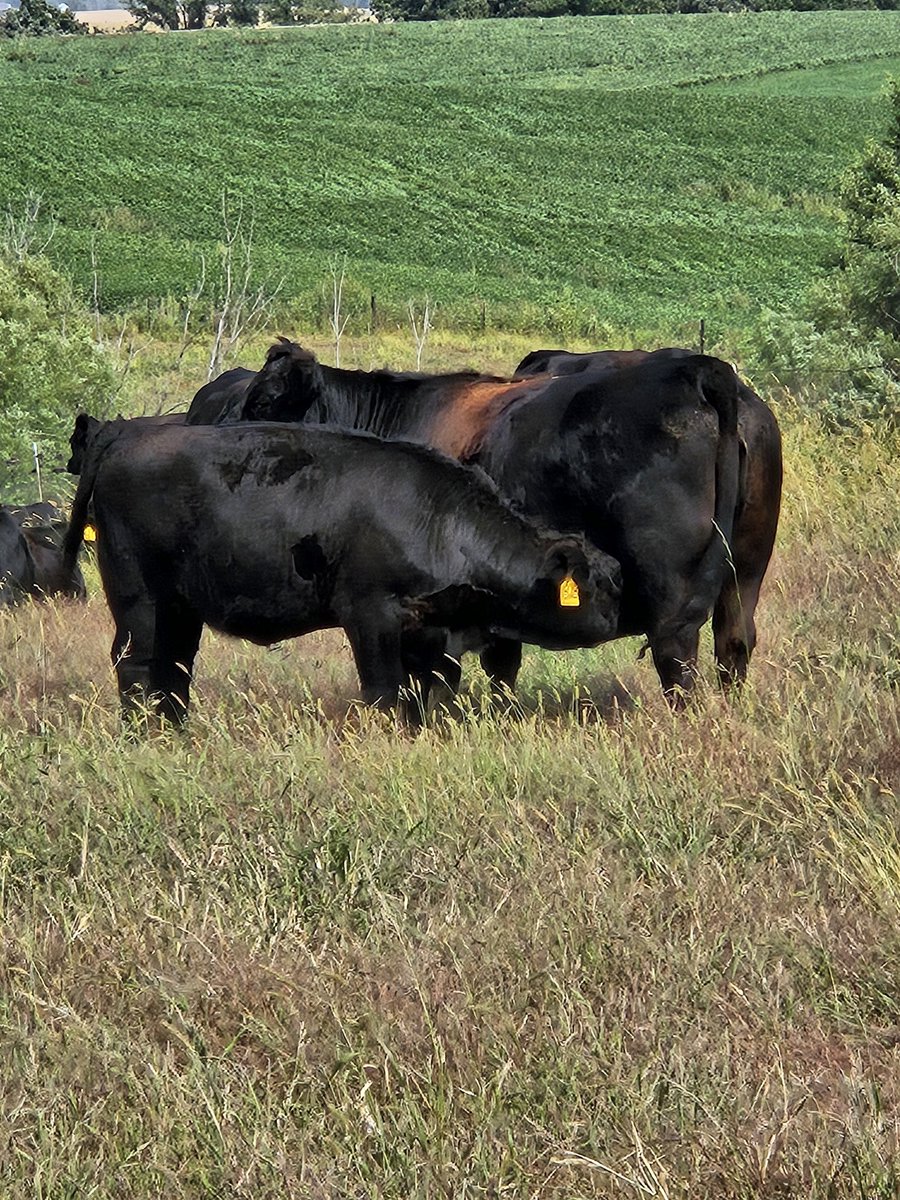 Matt Marchant tweet media