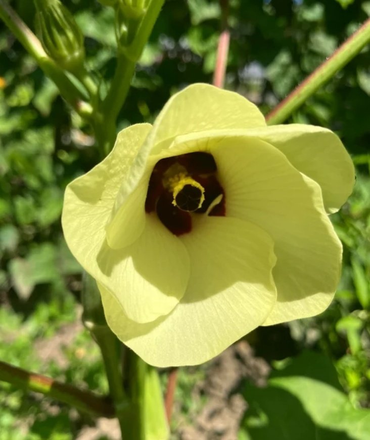 jaisrihari tweet media