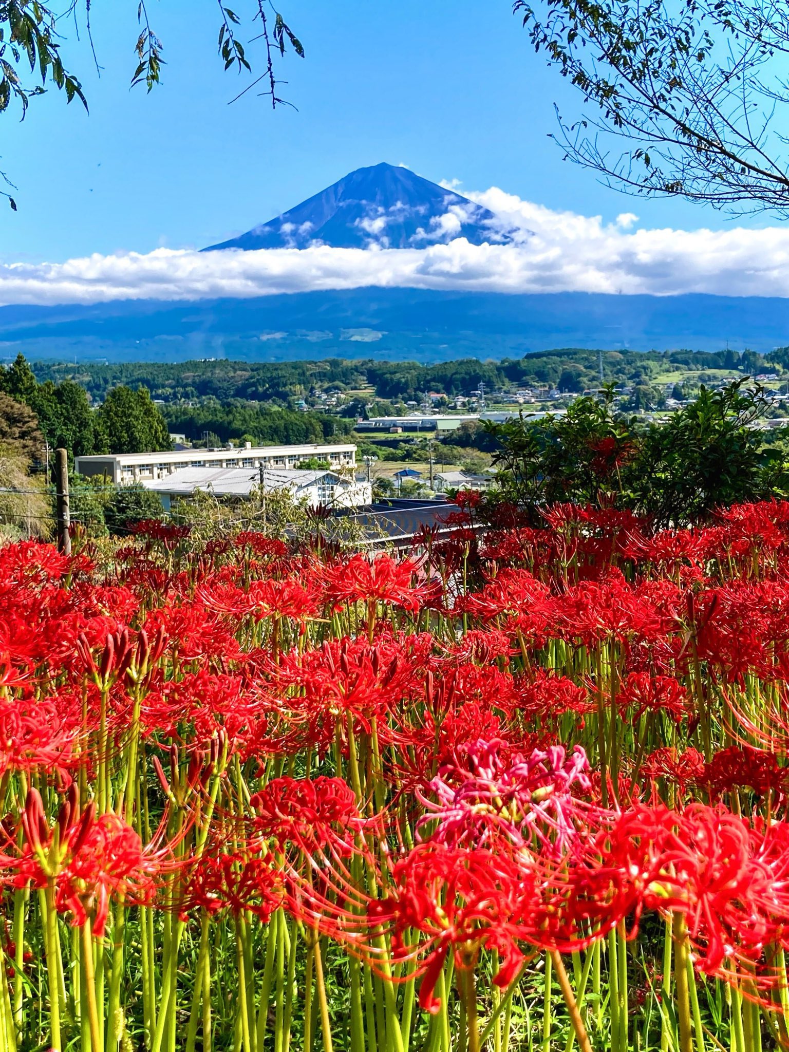 富士宮市観光協会［公式］富士山 on X: 