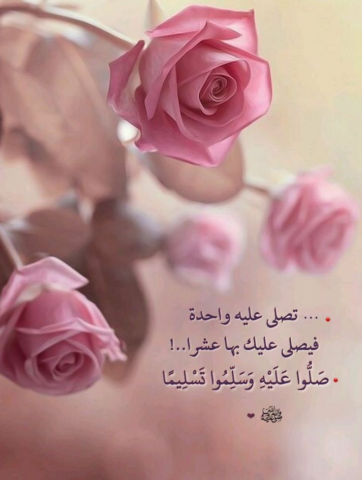 يا سورة الكهف دوّي في منازِلنا
ها قد أتانا جمالٌ اسمهُ الجُمُعة
فيه الصلاةُ لخير الخلقِ نرفعُها
عند الإلهِ أماني القلبِ مُتسعة..♡
#سورة_الكهف استنيروا بها..
اللهُمَّ صلِّ وسلِّم على نبينا #םבםבﷺ
#أميرھ_بِـ_أخلاقي