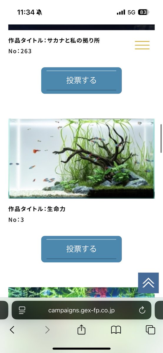 shingeki_aqua's tweet image. 一次選考通過しました！次は二次。
みなさん5回投票できますので、投票よろしくお願いいたします！
#GEX
#GALC
#GEXアクアレイアウトカーニバル