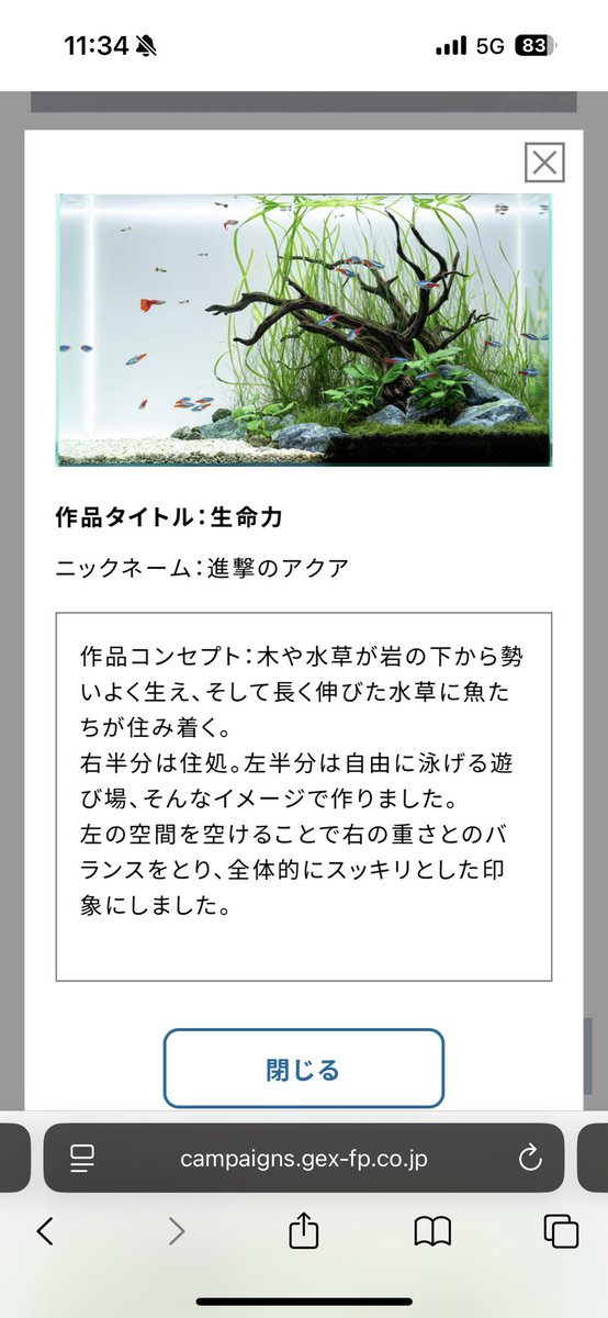 shingeki_aqua's tweet image. 一次選考通過しました！次は二次。
みなさん5回投票できますので、投票よろしくお願いいたします！
#GEX
#GALC
#GEXアクアレイアウトカーニバル