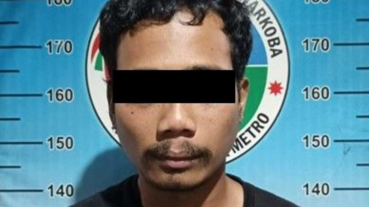 Seorang Pria Di Metro Ditangkap Polisi Bersama Puluhan Paket Tembakau Gorila ranjana.id/seorang-pria-d…