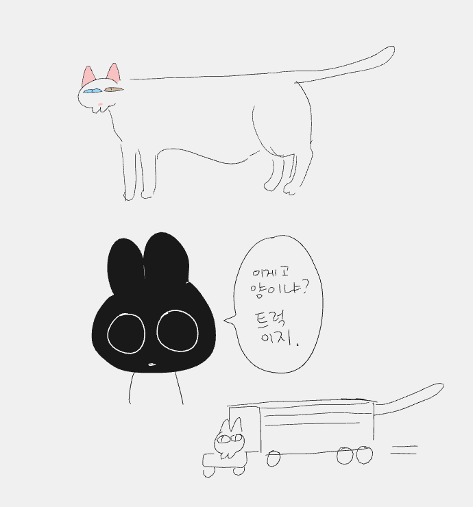 아직 정정한 9살 고양이에대한 감토씨의 평가 