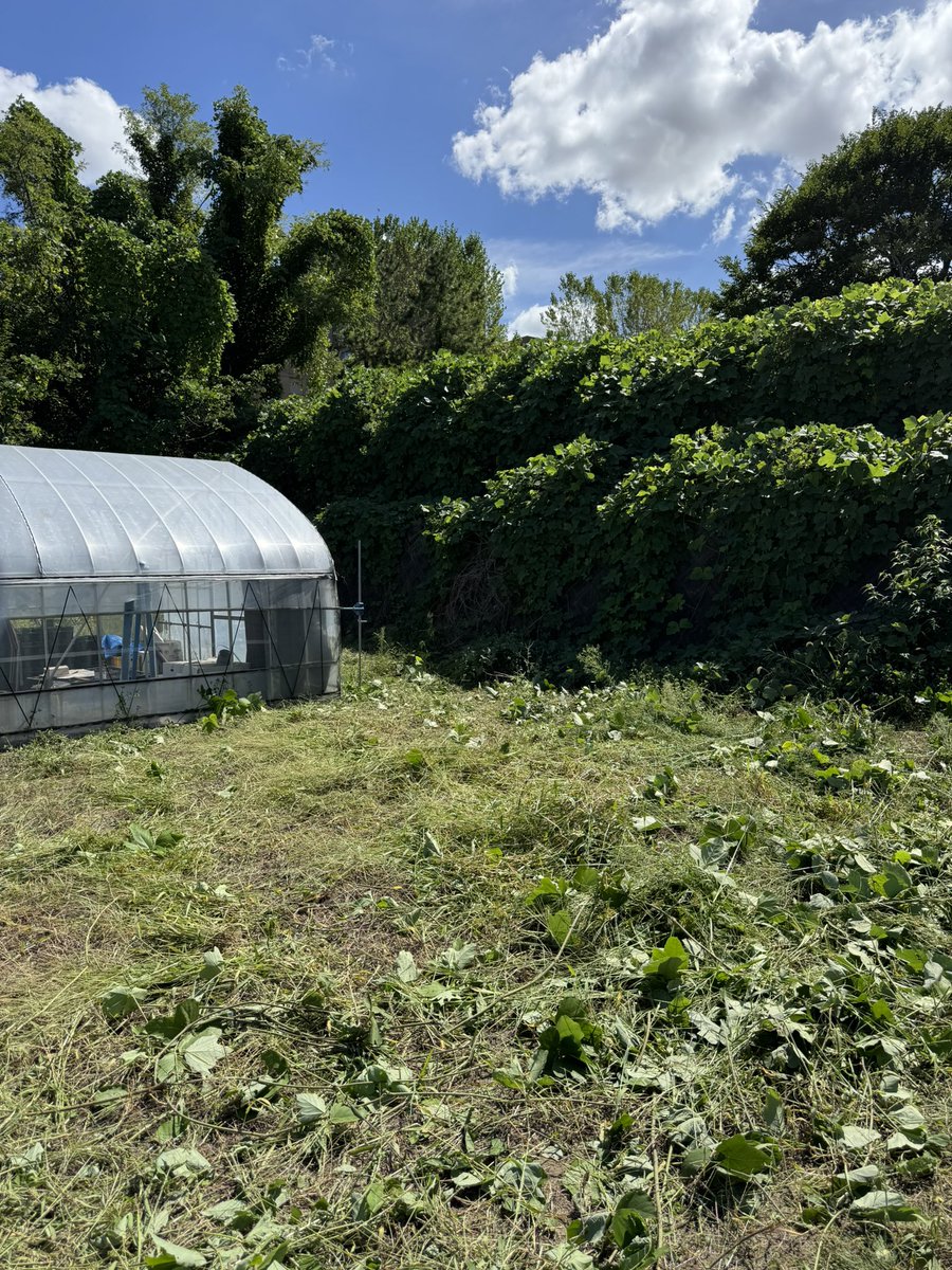 これがこう！(残渣の片付けは後ほど。。。)