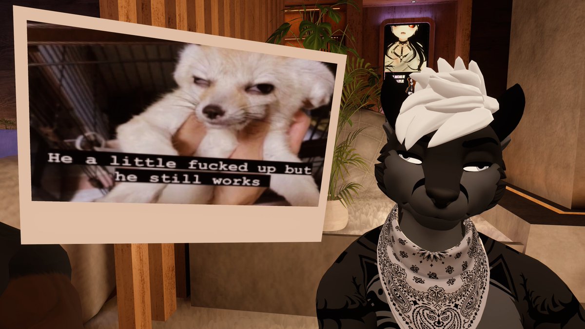 Aydan (@aydanfox) on Twitter photo 