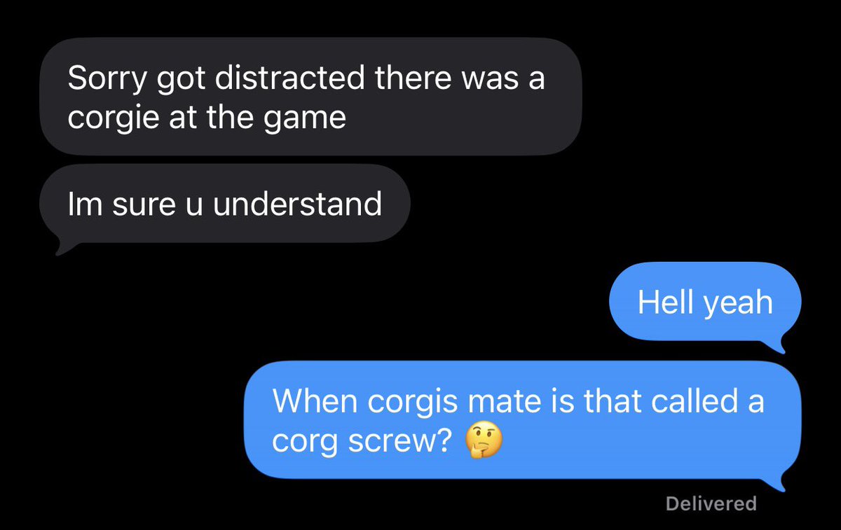 I’m not afraid to ask the real questions