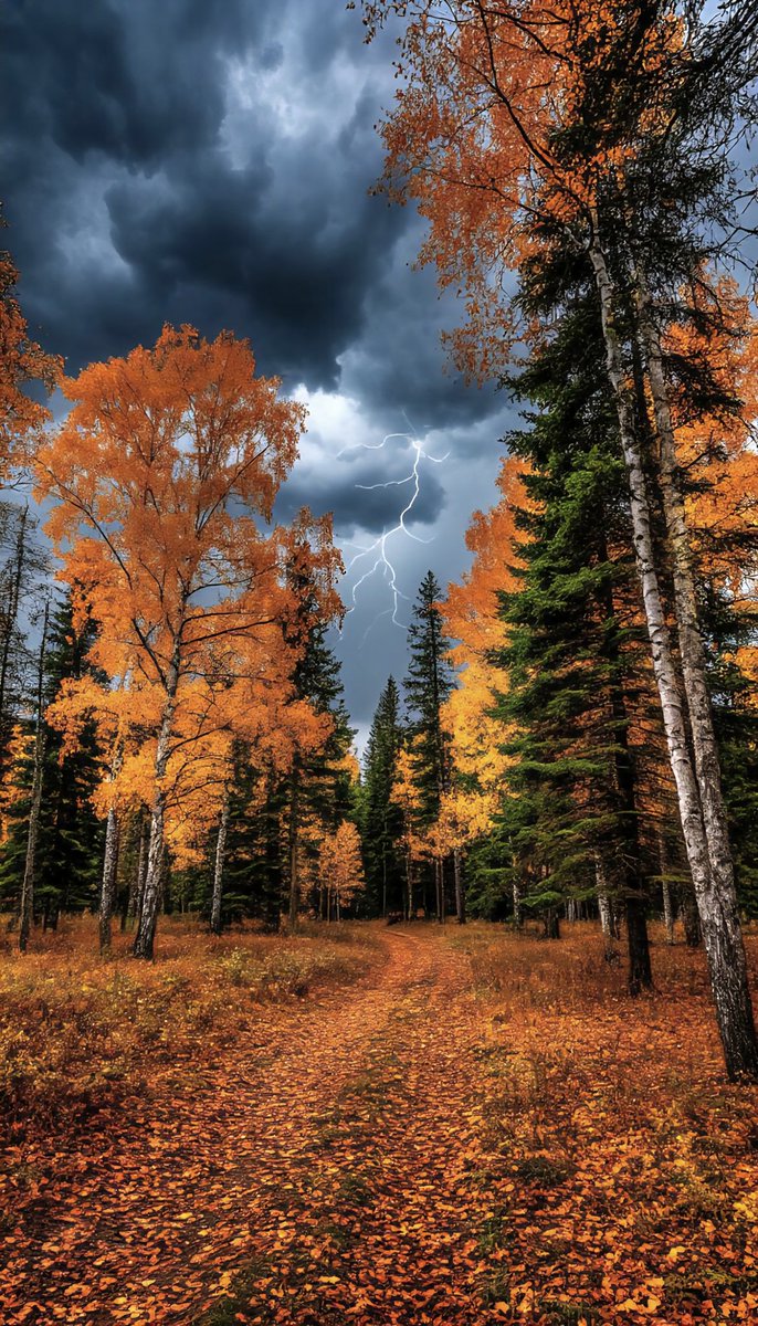 #AutumnTime