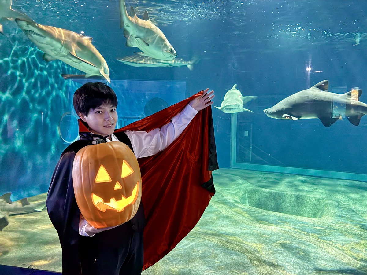 ★展★Mermaid Splash②ブラックアクアマリン　天然アイリス　海風と水 ☆展☆Mermaid Splash②ブラックアクアマリン 天然アイリス 海風と水