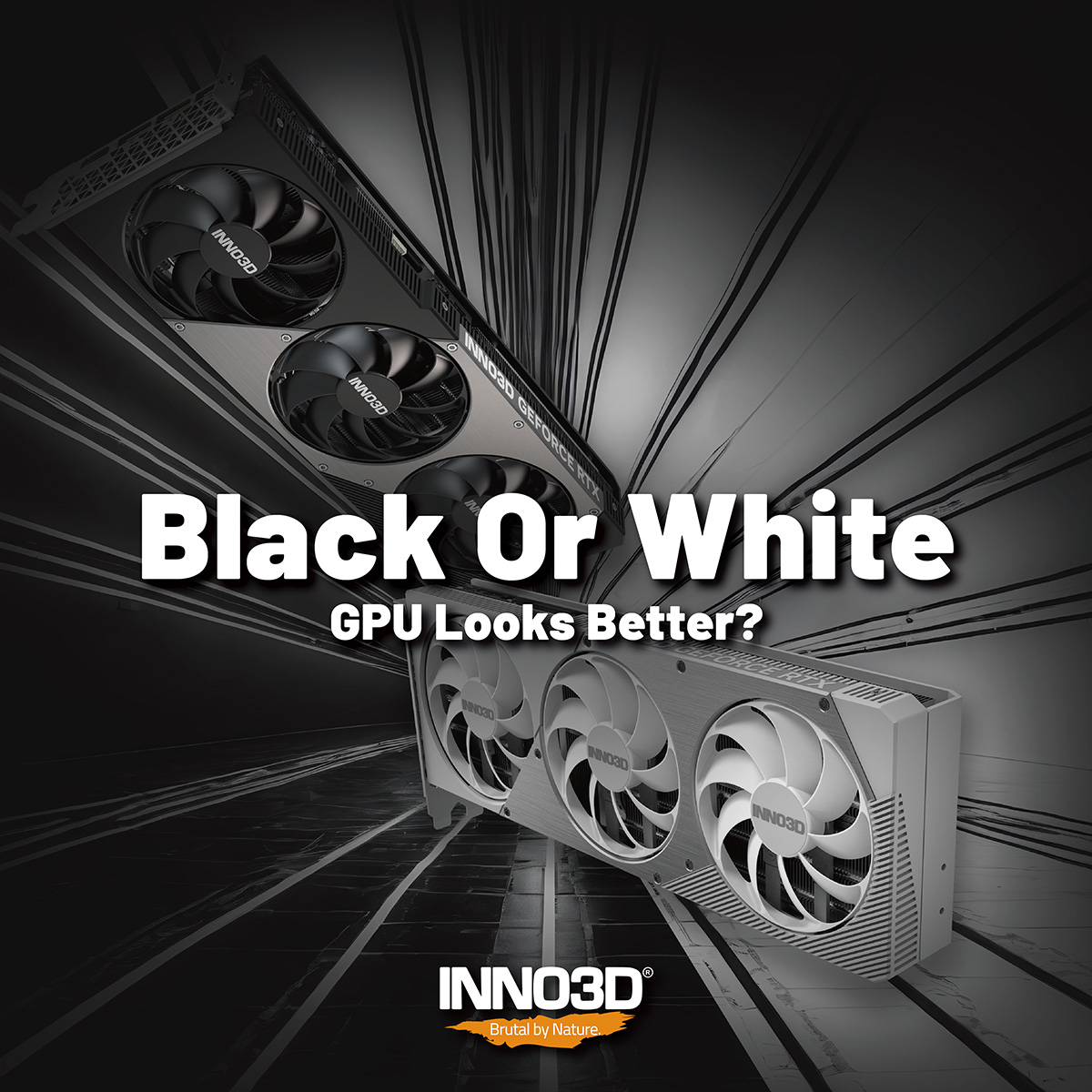 Inno3D's tweet photo. In your opinion , black or white GPU looks better? 🤍↔️🖤
#brutalbynature #inno3d #blackwell #geforce #rtx #rtx5070Ti #dualslot #gpu https://t.co/gOq4yOyAUS