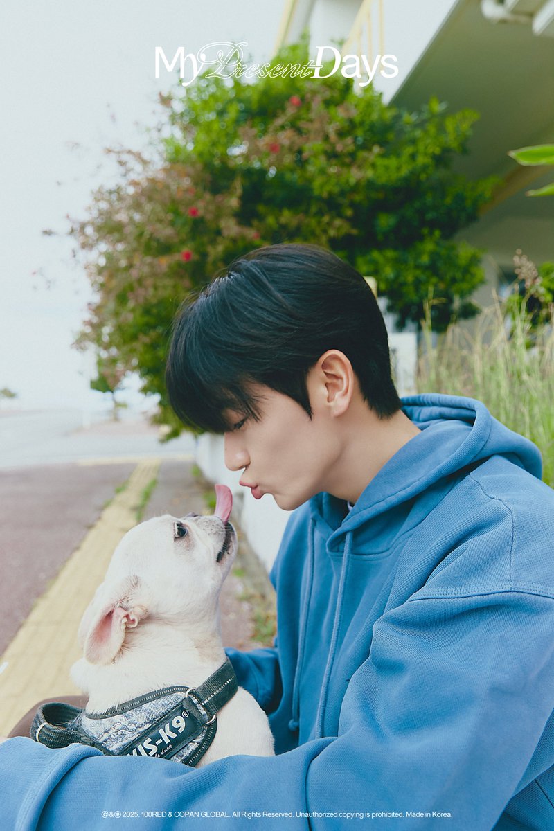 Kitxxkatx's tweet image. 이런거보여주면 밀빵러 김킷캣 녹아죽죠..