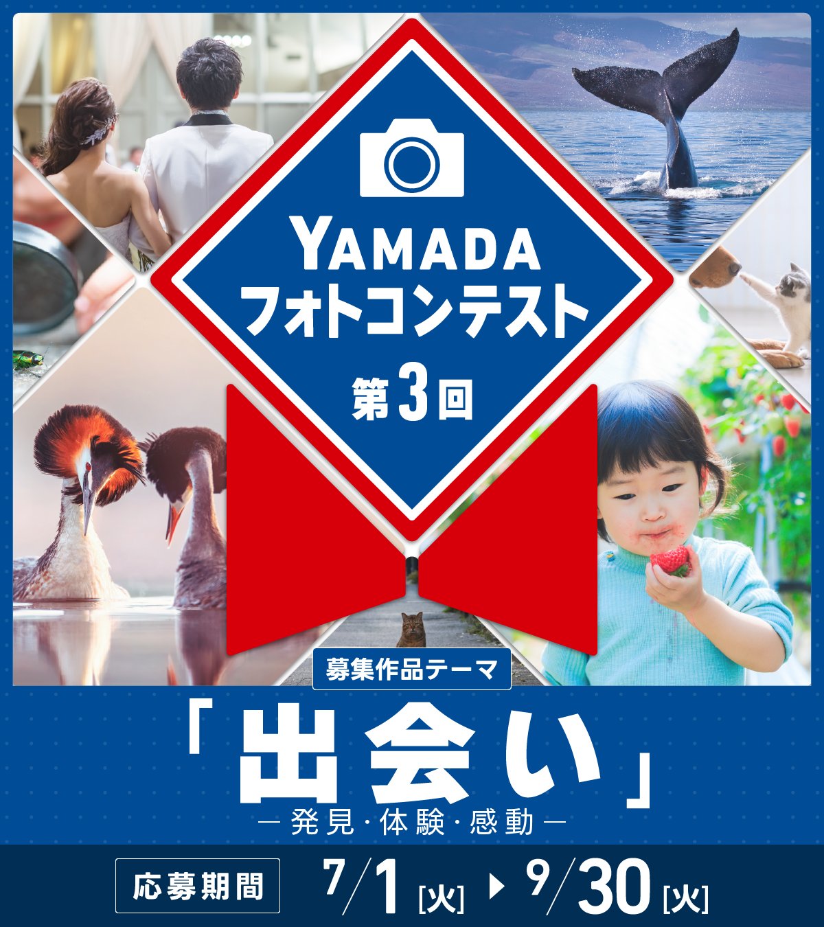 ヤマダデンキ (@yamada_official) / X