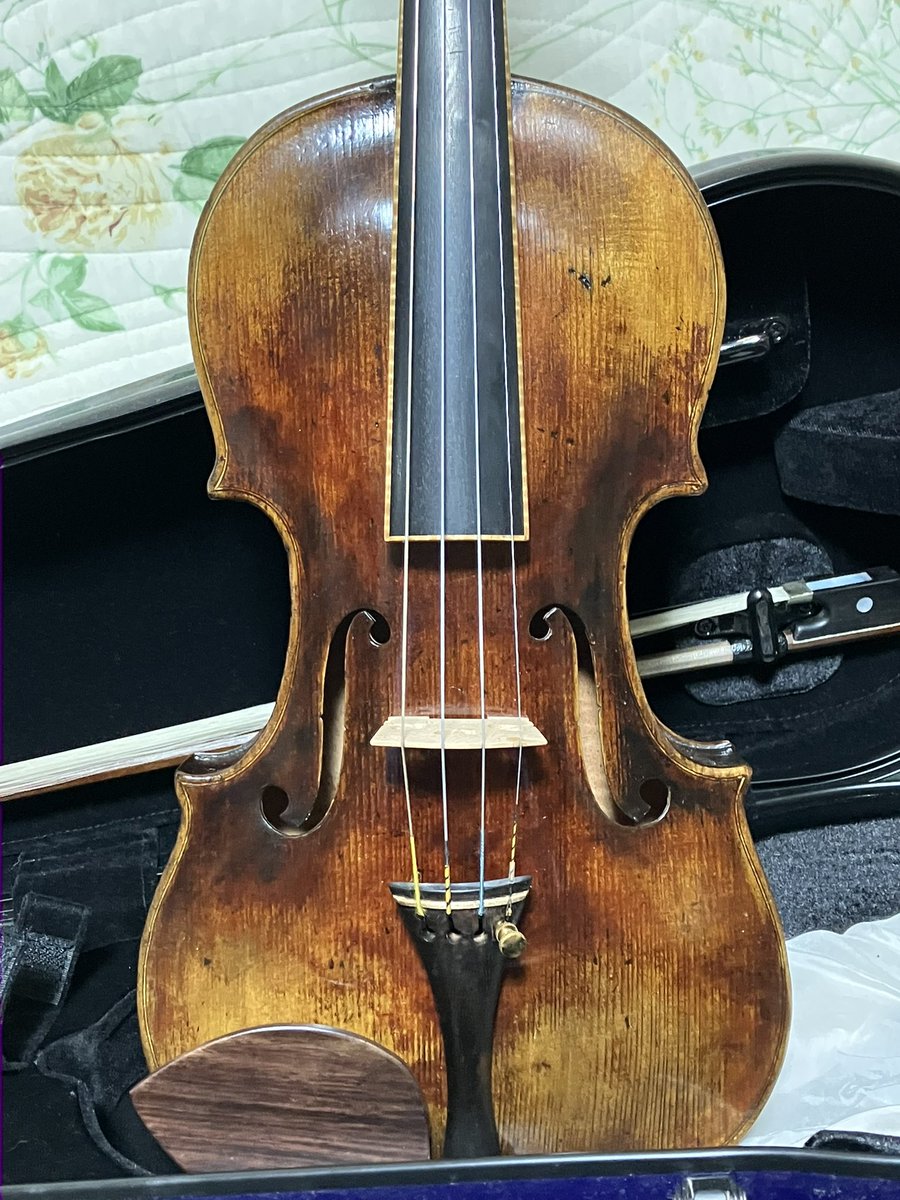 ポンポコ公シリウス🎻アウトレットバイオリン (@kaede_takane) / Posts / X