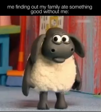 i found it on instagram reels