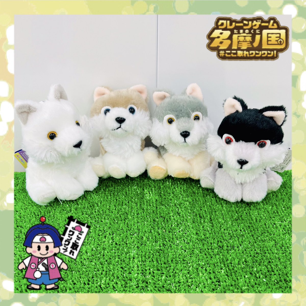 もふっとオオカミ ミステリアス ウルトラBIG / LMC 6種セット もふっと