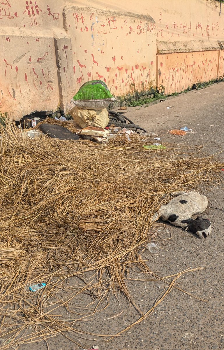saswatsays's tweet photo. @sofiafirdous1 @CMO_Odisha @CMCCuttack @SubashSinghBJD I know, no one cares &amp; @CMCCuttack has given up but will keep posting bcos this road is used by the kids as entrance to @CuttackStewart it creates such unhygienic condition &amp; bad impact on kids,dead animals &amp; filth lying everywhere. Pics from yesterday &amp; today at 8AM. #neglected https://t.co/zin3LFIHT4