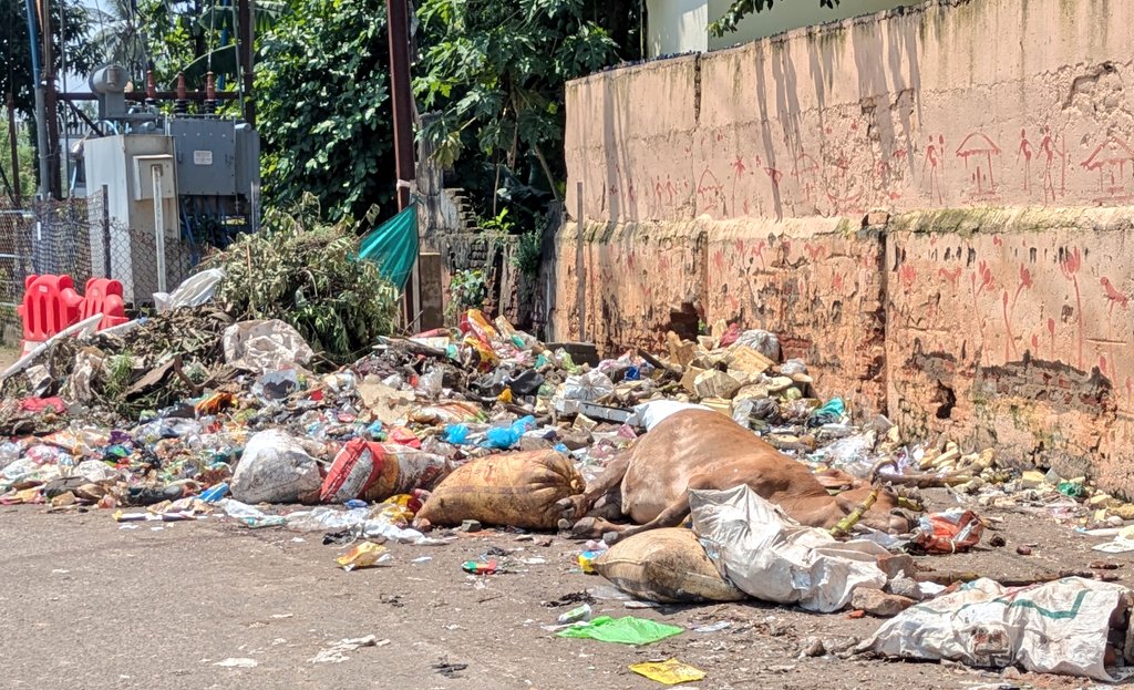 saswatsays's tweet photo. @sofiafirdous1 @CMO_Odisha @CMCCuttack @SubashSinghBJD I know, no one cares &amp; @CMCCuttack has given up but will keep posting bcos this road is used by the kids as entrance to @CuttackStewart it creates such unhygienic condition &amp; bad impact on kids,dead animals &amp; filth lying everywhere. Pics from yesterday &amp; today at 8AM. #neglected https://t.co/zin3LFIHT4
