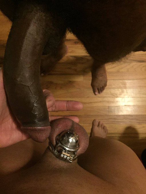 BLACK GOD TIM (@godtimber1) on Twitter photo 