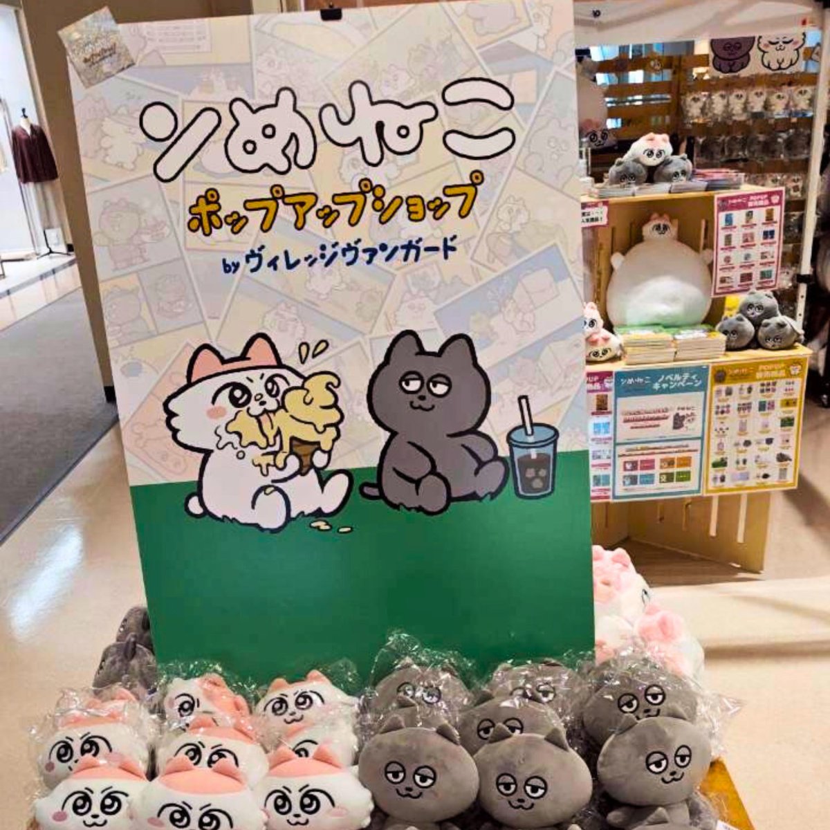 ⭐️ まめねこ ⭐️ アニメ「まめねこ」公式 (@anime_mameneko) / X