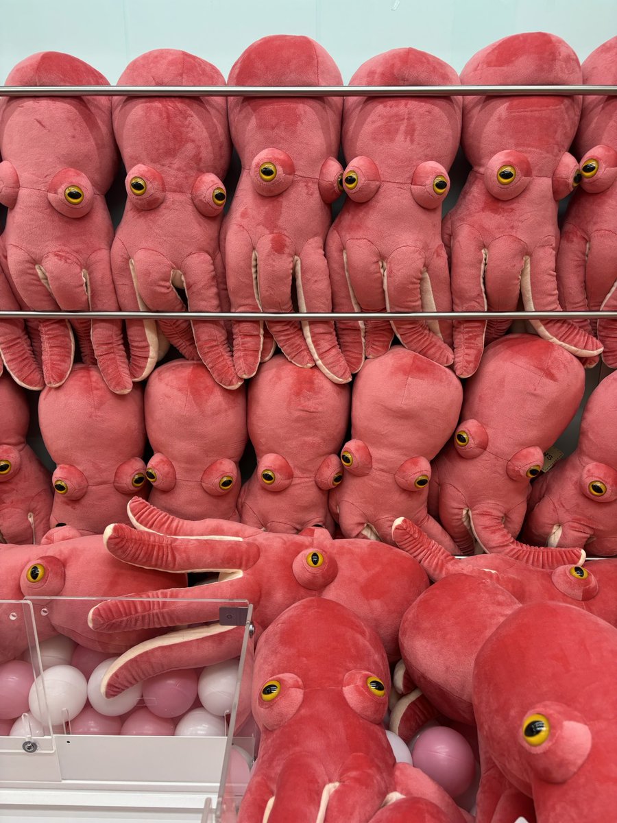 ぬいぐるみ 大量 iクレーンbyおたちゅう 酒田店 on X: 