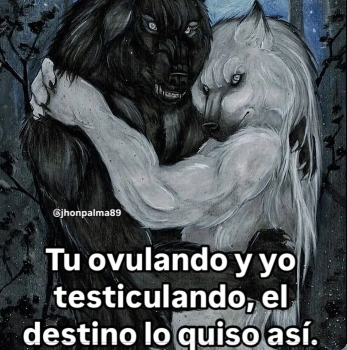 UlisesDavid__'s tweet photo. https://t.co/X5EKpmwdKl