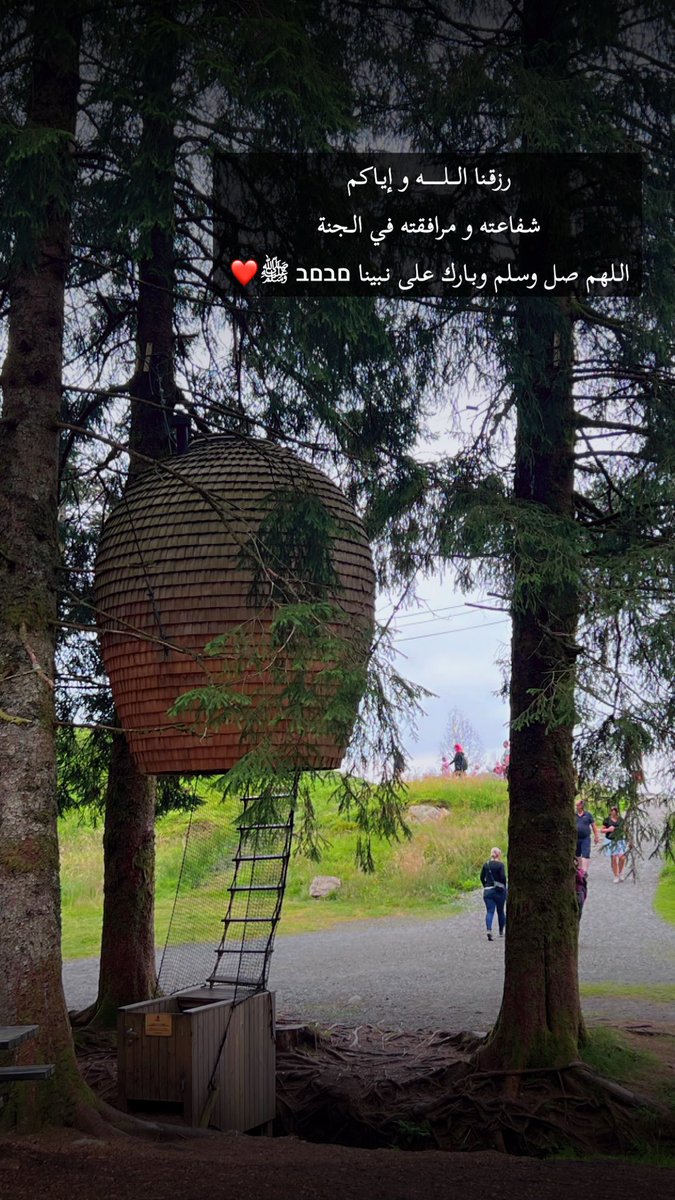 Zeekrayati's tweet photo. رزقنا اللـــــــــه و إياکم
شفاعته و مرافقته في الجنة
اللهم صل وسلم وبارك على نبينا םבםב ﷺ❤️ 

#يوم_الجمعة 
#الصلاة_على_النبي
#سورة_الكهف
#ساعة_استجابة
#صباح_الخير
#صباحكم_نووووور https://t.co/bdUgWGQALl
