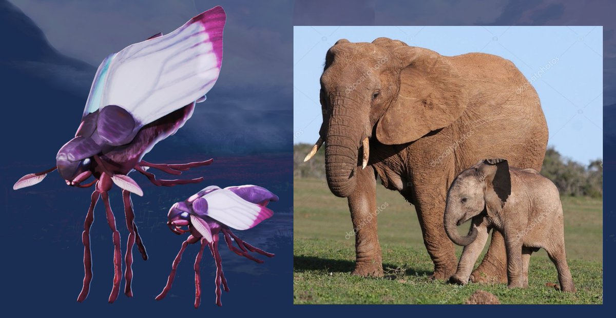 Wizards0nly tweet media