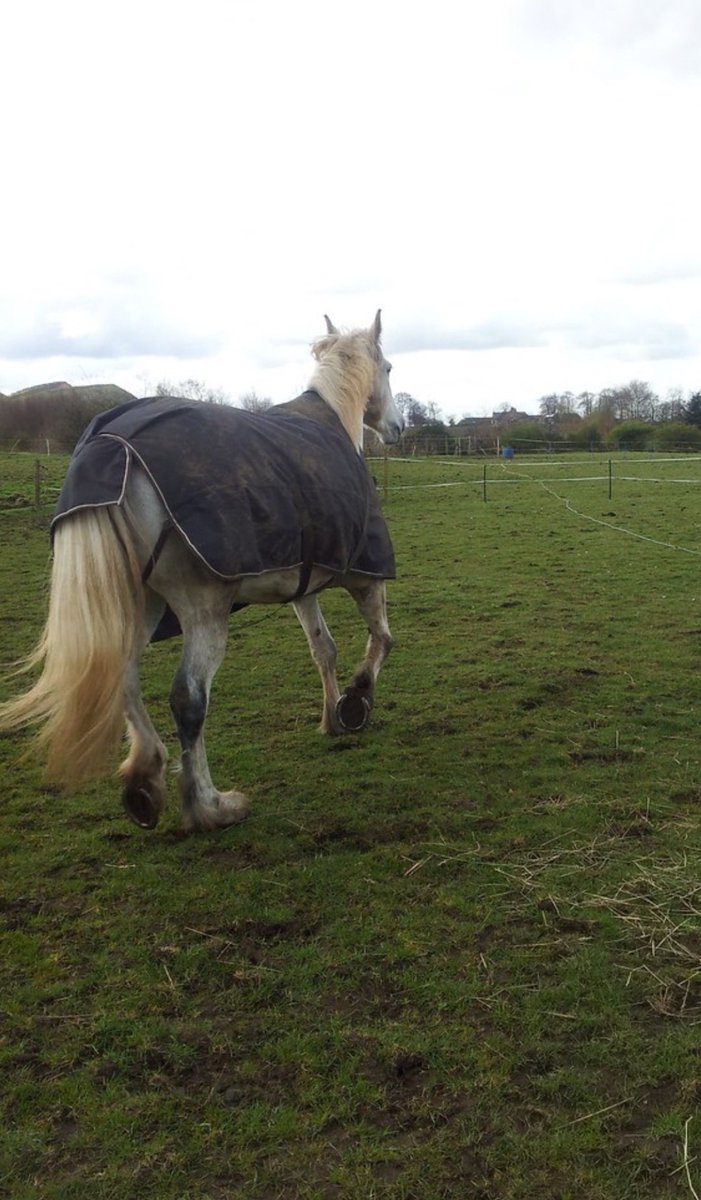 rrevng's tweet image. 