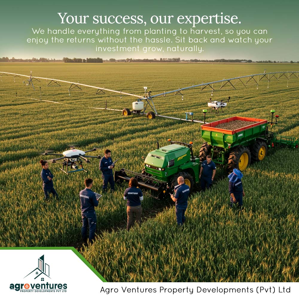agrovenprodevep's tweet image. 𝗖𝗿𝗲𝗮𝘁𝗶𝘃𝗲 𝗦𝗲𝗻𝘁𝗲𝗻𝗰𝗲: 𝗬𝗼𝘂𝗿 𝗦𝘂𝗰𝗰𝗲𝘀𝘀, 𝗢𝘂𝗿 𝗘𝘅𝗽𝗲𝗿𝘁𝗶𝘀𝗲. 🤝
IInvest wisely. Live well. Secure the future.
𝗖𝗼𝗻𝘁𝗮𝗰𝘁 𝗪𝗶𝘁𝗵 𝗨𝘀:
🎯No.48, Sir Marcus Fernando Mawatha, Colombo 03.
☎️0112 121 959

#AgroVenturesProperty #SustainableRealEstate