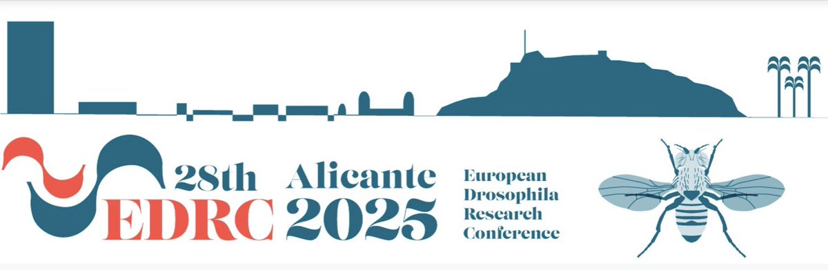 Objective_Bio's tweet image. Nest week we are exhibiting at the 28th European Drosophila Research Conference.
edrc2025alicante.com
Word is spreading about our new automated microinjection platform!
objectivebiotechnology.com/autoinjector
#EDRS, #EuropeanDrosophilaResearch, #DrosEU