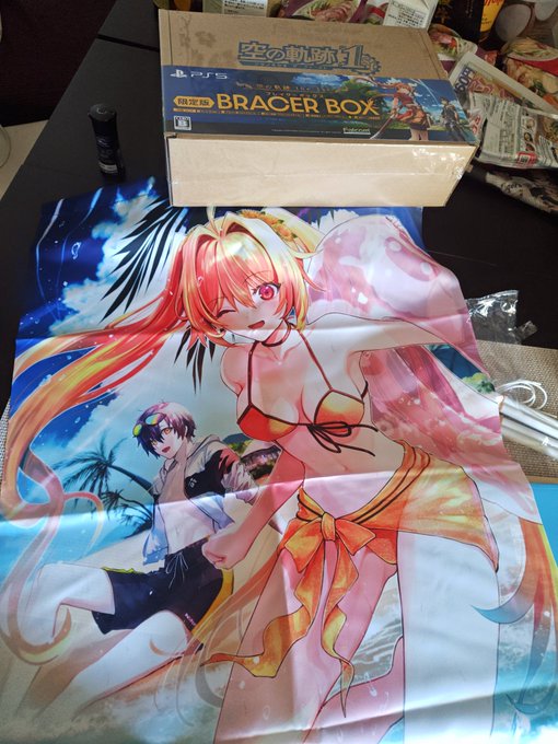 空の軌跡届いた〜箱デカイw
あとSofmapはいつもだけど、タペストリー折り目付けて送り付けるのまじでクソオブザクソなのよな 